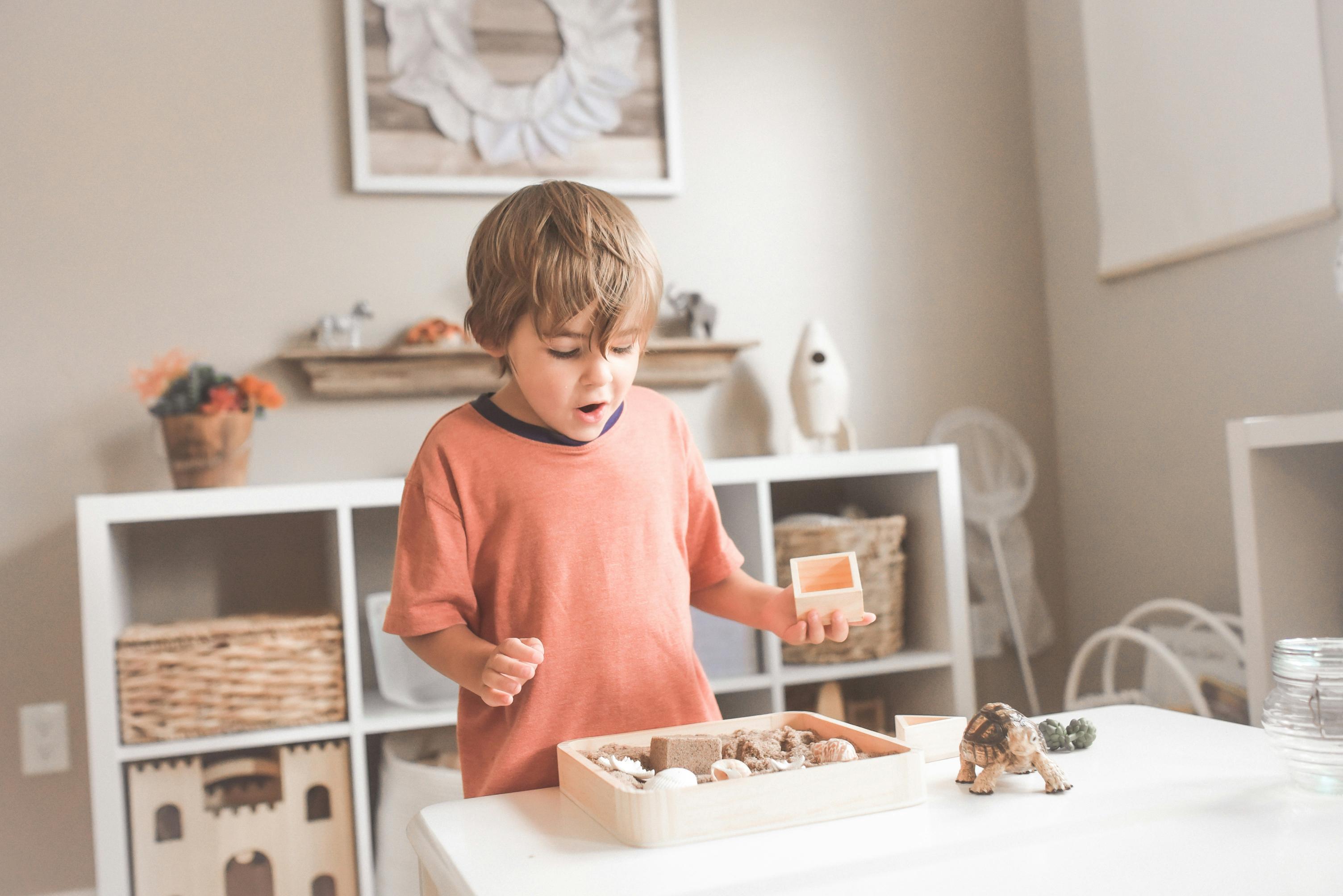 What is a Montessori school?